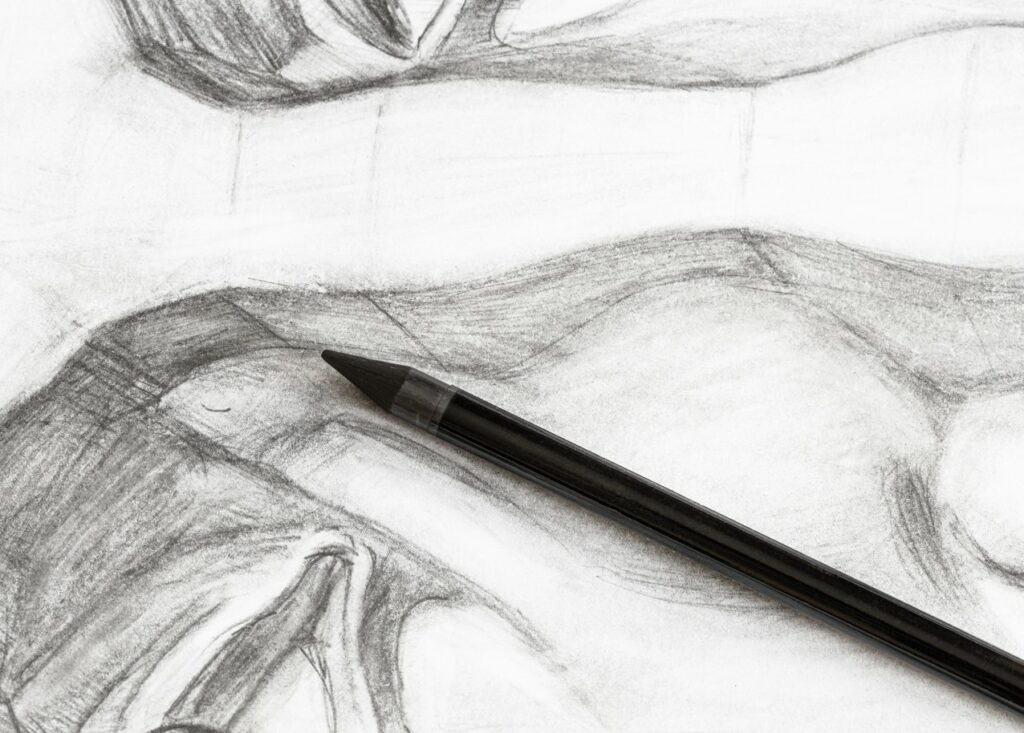 cours de dessin d'observation